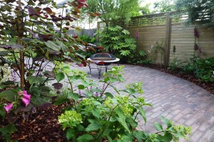 Carol Bridges townhouse garden project