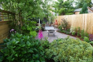 Carol Bridges townhouse garden project