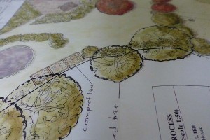 Plan for one of Carol bridges garden design clients