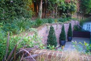 example garden created by carol bridges garden designer