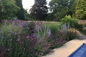 garden by carol bridges garden designer reigate surrey