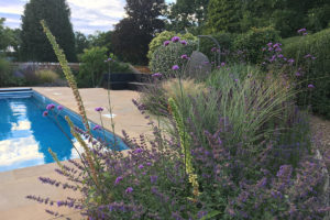 garden by carol bridges garden designer reigate surrey