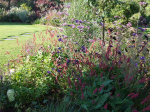 garden by carol bridges garden designer reigate surrey