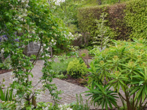 garden by carol bridges garden designer reigate surrey