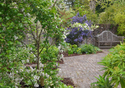 garden by carol bridges garden designer reigate surrey