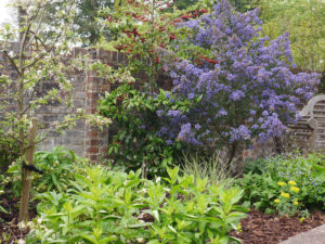 garden by carol bridges garden designer reigate surrey