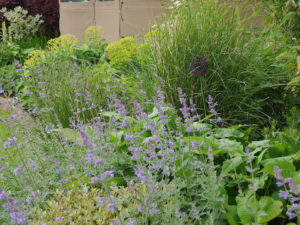 garden by carol bridges garden designer reigate surrey