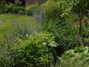 garden by carol bridges garden designer reigate surrey