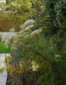 garden by carol bridges garden designer reigate surrey