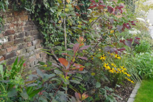 garden by carol bridges garden designer reigate surrey