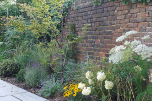 garden by carol bridges garden designer reigate surrey