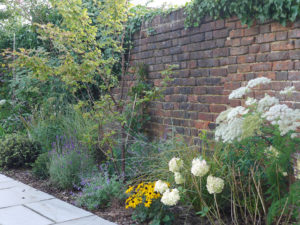 garden by carol bridges garden designer reigate surrey