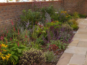 garden by carol bridges garden designer reigate surrey