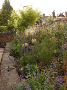 garden by carol bridges garden designer reigate surrey