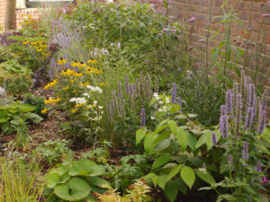 garden by carol bridges garden designer reigate surrey