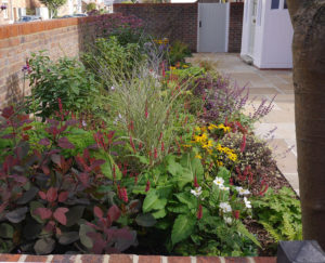 garden by carol bridges garden designer reigate surrey