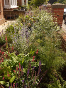 garden by carol bridges garden designer reigate surrey