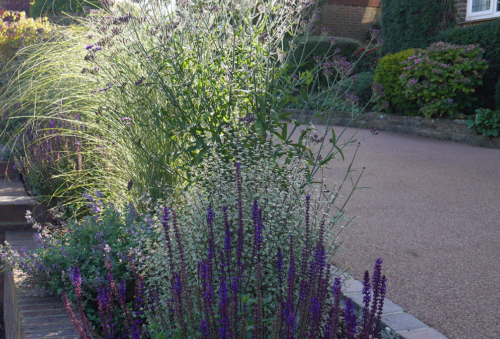 garden by carol bridges garden designer reigate surrey