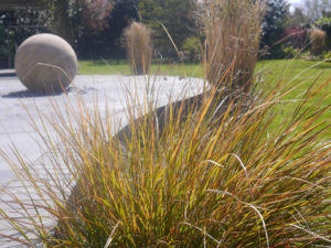 garden by carol bridges garden designer reigate surrey