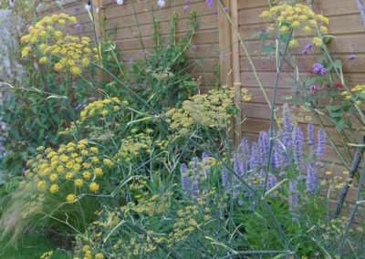 garden by carol bridges garden designer reigate surrey