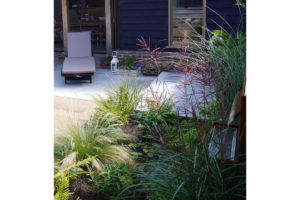 garden by carol bridges garden designer reigate surrey