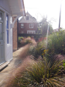 garden by carol bridges garden designer reigate surrey